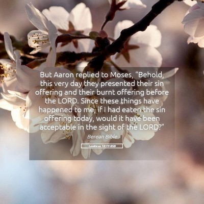 Picture 05 - Leviticus 10:19 BSB - But Aaron replied to Moses, “Behold, this very - Bible Verse Picture
