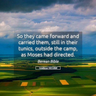 Picture 05 - Leviticus 10:5 BSB - So they came forward and carried them, still in - Bible Verse Picture