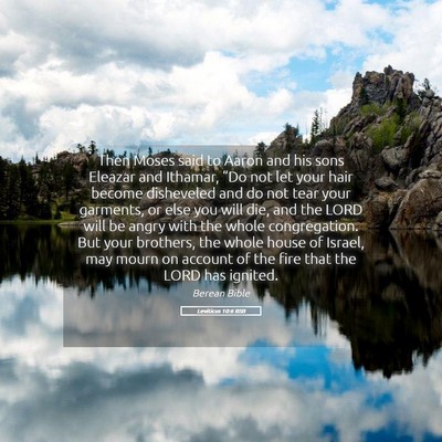 Picture 05 - Leviticus 10:6 BSB - Then Moses said to Aaron and his sons Eleazar and - Bible Verse Picture