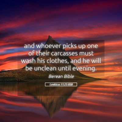 Picture 05 - Leviticus 11:25 BSB - and whoever picks up one of their carcasses must - Bible Verse Picture
