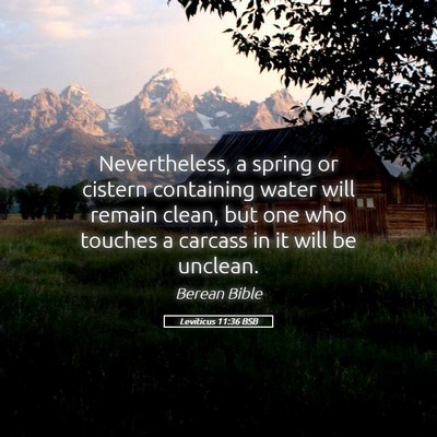 Picture 05 - Leviticus 11:36 BSB - Nevertheless, a spring or cistern containing - Bible Verse Picture