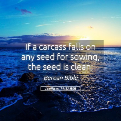 Picture 05 - Leviticus 11:37 BSB - If a carcass falls on any seed for sowing, the - Bible Verse Picture