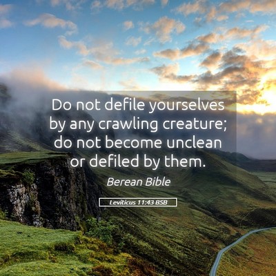 Picture 05 - Leviticus 11:43 BSB - Do not defile yourselves by any crawling - Bible Verse Picture