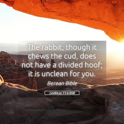 Picture 05 - Leviticus 11:6 BSB - The rabbit, though it chews the cud, does not - Bible Verse Picture