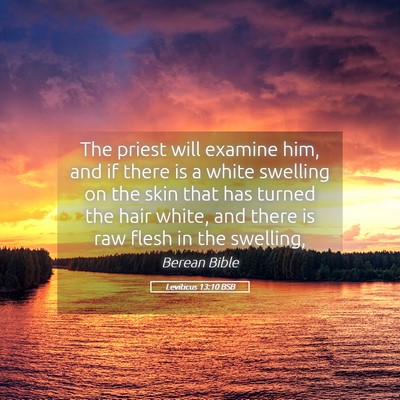 Picture 05 - Leviticus 13:10 BSB - The priest will examine him, and if there is a - Bible Verse Picture