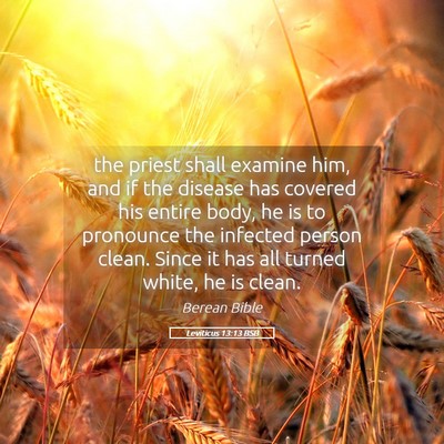 Picture 05 - Leviticus 13:13 BSB - the priest shall examine him, and if the disease - Bible Verse Picture