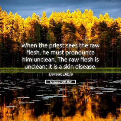 Picture 05 - Leviticus 13:15 BSB - When the priest sees the raw flesh, he must - Bible Verse Picture