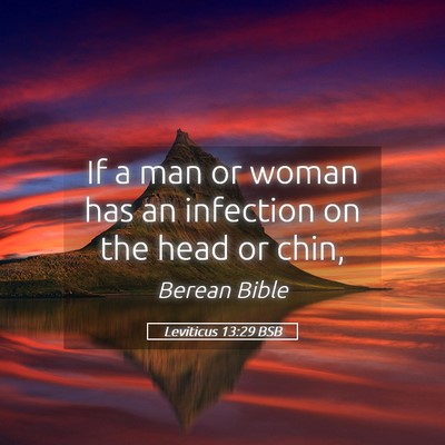 Picture 05 - Leviticus 13:29 BSB - If a man or woman has an infection on the head or - Bible Verse Picture