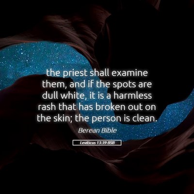 Picture 05 - Leviticus 13:39 BSB - the priest shall examine them, and if the spots - Bible Verse Picture