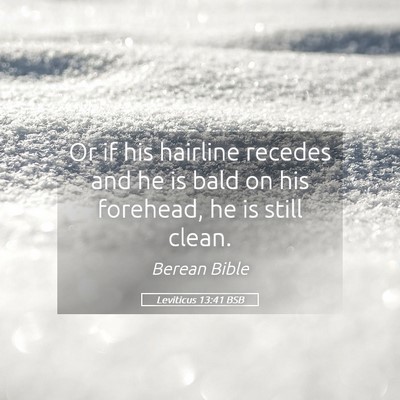 Picture 05 - Leviticus 13:41 BSB - Or if his hairline recedes and he is bald on his - Bible Verse Picture