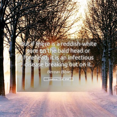 Picture 05 - Leviticus 13:42 BSB - But if there is a reddish-white sore on the bald - Bible Verse Picture
