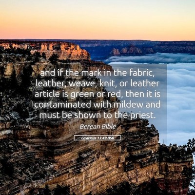 Picture 05 - Leviticus 13:49 BSB - and if the mark in the fabric, leather, weave, - Bible Verse Picture