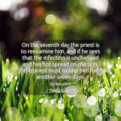 Picture 05 - Leviticus 13:5 BSB - On the seventh day the priest is to reexamine - Bible Verse Picture