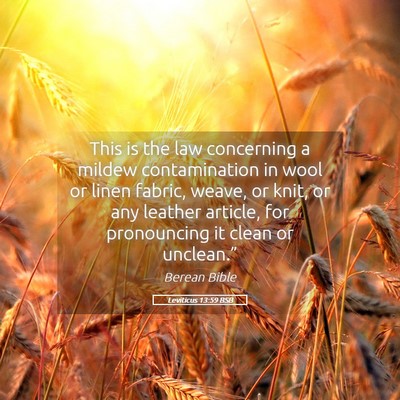 Picture 05 - Leviticus 13:59 BSB - This is the law concerning a mildew contamination - Bible Verse Picture