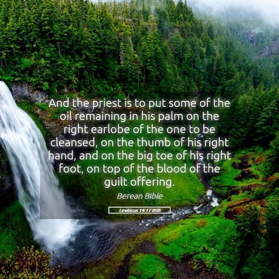 Picture 05 - Leviticus 14:17 BSB - And the priest is to put some of the oil - Bible Verse Picture