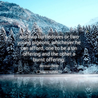 Picture 05 - Leviticus 14:22 BSB - and two turtledoves or two young pigeons, - Bible Verse Picture