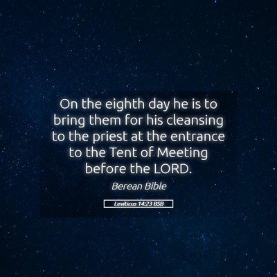 Picture 05 - Leviticus 14:23 BSB - On the eighth day he is to bring them for his - Bible Verse Picture