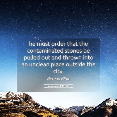 Picture 05 - Leviticus 14:40 BSB - he must order that the contaminated stones be - Bible Verse Picture