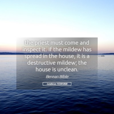 Picture 05 - Leviticus 14:44 BSB - the priest must come and inspect it. If the - Bible Verse Picture