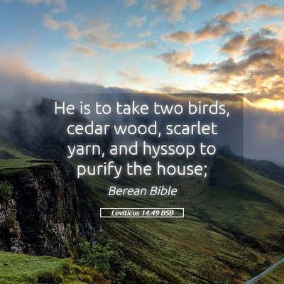 Picture 05 - Leviticus 14:49 BSB - He is to take two birds, cedar wood, scarlet - Bible Verse Picture