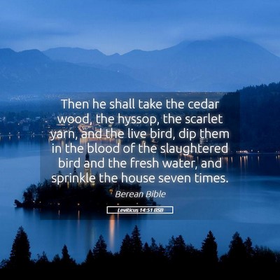 Picture 05 - Leviticus 14:51 BSB - Then he shall take the cedar wood, the hyssop, - Bible Verse Picture