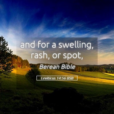 Picture 05 - Leviticus 14:56 BSB - and for a swelling, rash, or - Bible Verse Picture