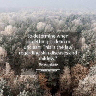 Picture 05 - Leviticus 14:57 BSB - to determine when something is clean or unclean. - Bible Verse Picture
