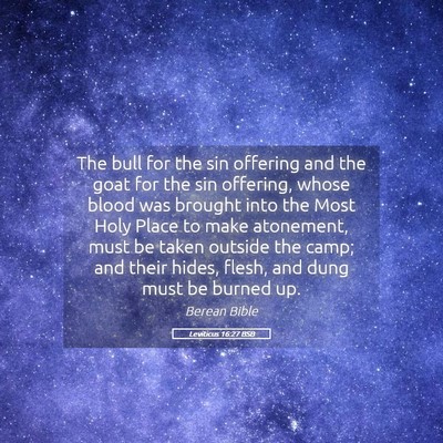 Picture 05 - Leviticus 16:27 BSB - The bull for the sin offering and the goat for - Bible Verse Picture