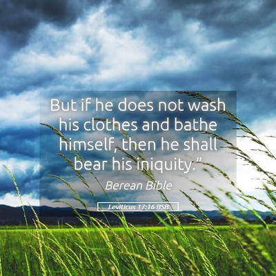 Picture 05 - Leviticus 17:16 BSB - But if he does not wash his clothes and bathe - Bible Verse Picture