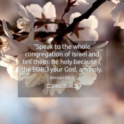 Picture 05 - Leviticus 19:2 BSB - “Speak to the whole congregation of Israel and - Bible Verse Picture