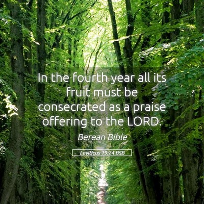 Picture 05 - Leviticus 19:24 BSB - In the fourth year all its fruit must be - Bible Verse Picture