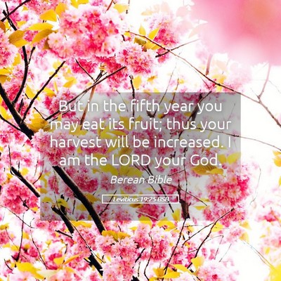 Picture 05 - Leviticus 19:25 BSB - But in the fifth year you may eat its fruit; thus - Bible Verse Picture