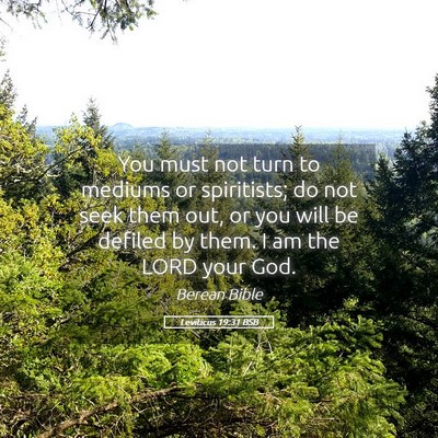 Picture 05 - Leviticus 19:31 BSB - You must not turn to mediums or spiritists; do - Bible Verse Picture
