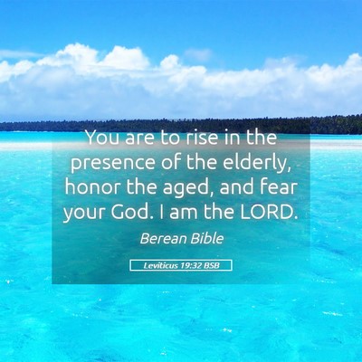 Picture 05 - Leviticus 19:32 BSB - You are to rise in the presence of the elderly, - Bible Verse Picture