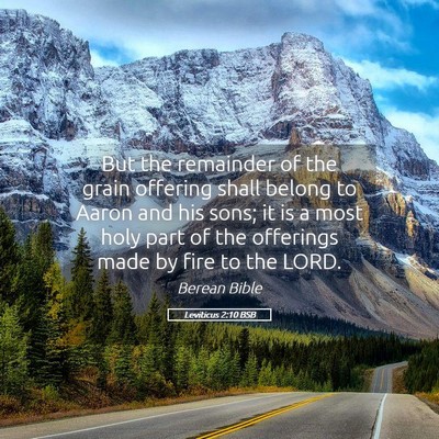Picture 05 - Leviticus 2:10 BSB - But the remainder of the grain offering shall - Bible Verse Picture