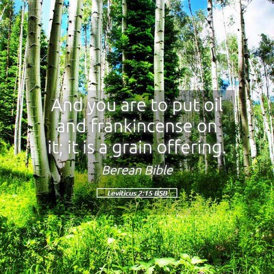 Picture 05 - Leviticus 2:15 BSB - And you are to put oil and frankincense on it; it - Bible Verse Picture
