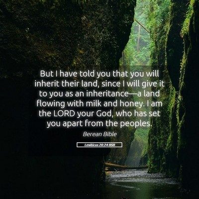 Picture 05 - Leviticus 20:24 BSB - But I have told you that you will inherit their - Bible Verse Picture