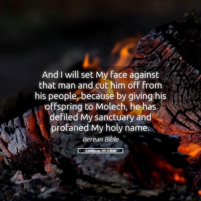 Picture 05 - Leviticus 20:3 BSB - And I will set My face against that man and cut - Bible Verse Picture