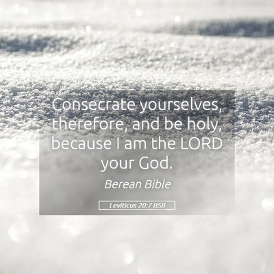 Picture 05 - Leviticus 20:7 BSB - Consecrate yourselves, therefore, and be holy, - Bible Verse Picture