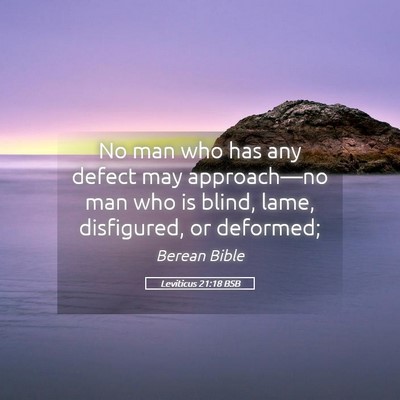 Picture 05 - Leviticus 21:18 BSB - No man who has any defect may approach—no man - Bible Verse Picture