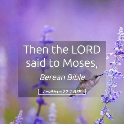 Picture 05 - Leviticus 22:1 BSB - Then the LORD said to - Bible Verse Picture