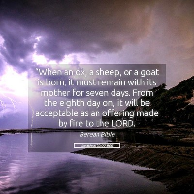 Picture 05 - Leviticus 22:27 BSB - “When an ox, a sheep, or a goat is born, it - Bible Verse Picture
