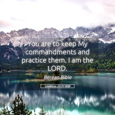 Picture 05 - Leviticus 22:31 BSB - You are to keep My commandments and practice - Bible Verse Picture