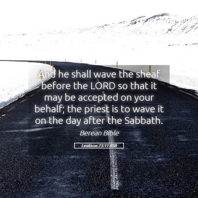 Picture 05 - Leviticus 23:11 BSB - And he shall wave the sheaf before the LORD so - Bible Verse Picture