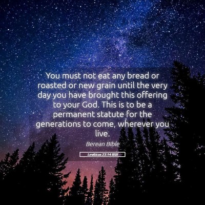 Picture 05 - Leviticus 23:14 BSB - You must not eat any bread or roasted or new - Bible Verse Picture