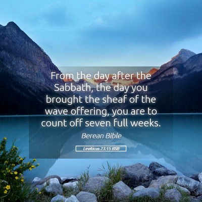 Picture 05 - Leviticus 23:15 BSB - From the day after the Sabbath, the day you - Bible Verse Picture