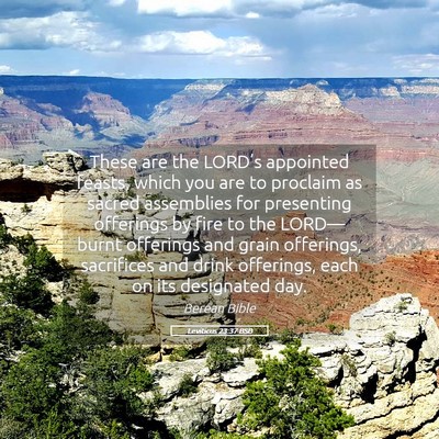 Picture 05 - Leviticus 23:37 BSB - These are the LORD’s appointed feasts, which - Bible Verse Picture