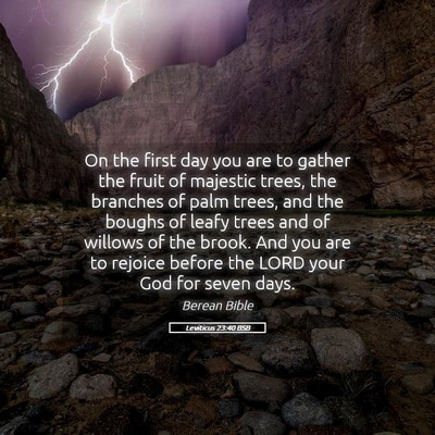 Picture 05 - Leviticus 23:40 BSB - On the first day you are to gather the fruit of - Bible Verse Picture