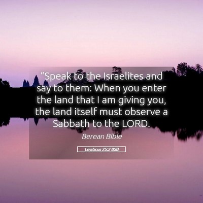 Picture 05 - Leviticus 25:2 BSB - “Speak to the Israelites and say to them: When - Bible Verse Picture