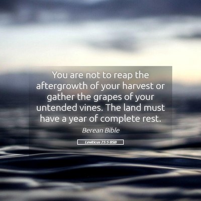 Picture 05 - Leviticus 25:5 BSB - You are not to reap the aftergrowth of your - Bible Verse Picture